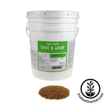 Load image into Gallery viewer, Triticale (organic) - Bulk Grain & Foods