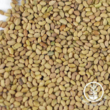 Load image into Gallery viewer, Alfalfa (organic) - Sprouting Seeds