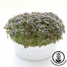 Load image into Gallery viewer, Mini Microgreens Growing Kits