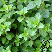 Load image into Gallery viewer, Easy & Delicious Bilingual Herb Seed Collection