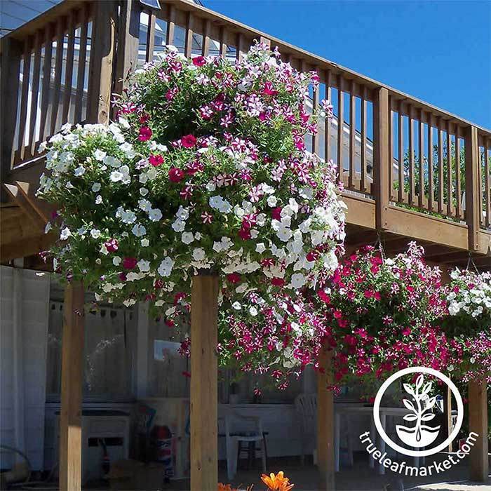 hanging planter tree Tree Stand – frankiesbikiniseew.com