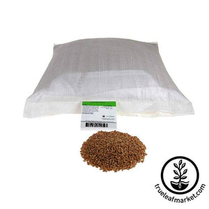 Wheat - Hard Red Spring (organic) - Sprouting Seeds