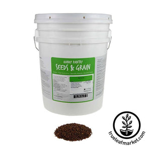 Red Lentils (organic) - Bulk Grains & Foods