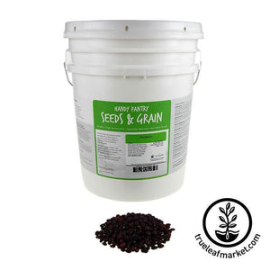 Beans - Red Small (organic) - Sprouting Seeds