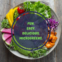 Load image into Gallery viewer, Self Watering Microgreens Kit

