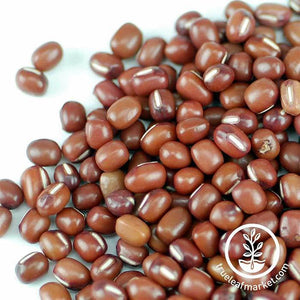 Bean - Adzuki (organic) - Sprouting Seeds