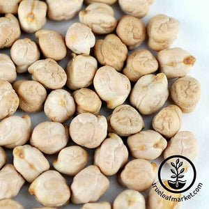 Bean - Garbanzo (organic) - Sprouting Seeds