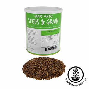 Barley - Purple (organic) - Sprouting Seeds