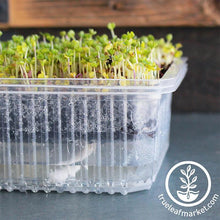 Load image into Gallery viewer, Self-Watering Growing Trays
